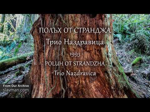 Видео: Трио Наздравица (1993 - Official SLAVMAN Archive)