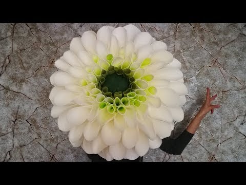 Видео: Ростовой георгин. Часть 6