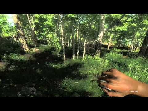 Видео: Обзор игры theHunter