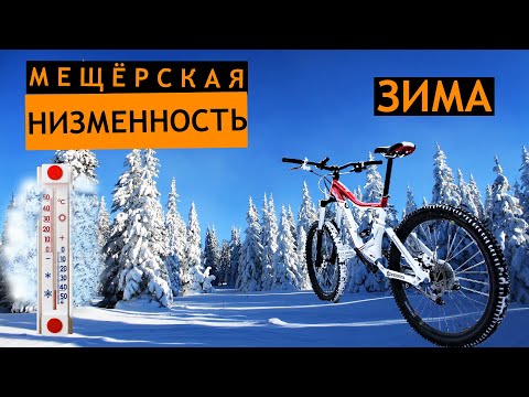 Видео: Мещера | Заброшки позиций ПВО |  Катаемся зимой по Мещерской низменности