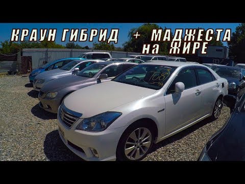 Видео: КРАУН ГИБРИД, СТВОЛОВОЙ 200 КРАУН, МАДЖЕСТА НА ЖИРЕ