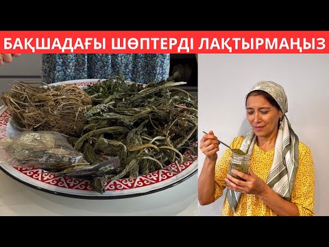 Видео: Қыста ТҰМАУҒА ЕМ болатын, ТАПТЫРМАС ДӘМДЕУІШ😍 Бақшадағы шөптерді КЕПТІРІП блендерден ӨТКІЗЕ салдым 