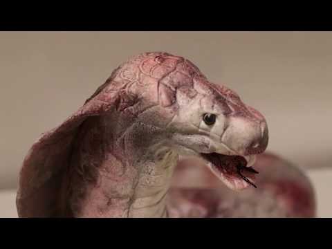 Видео: Торт Кобра