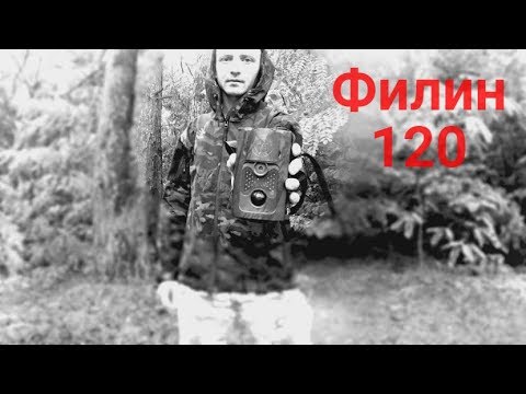 Видео: Обзор и характеристики фотоловушки Филин 120(Часть 1)