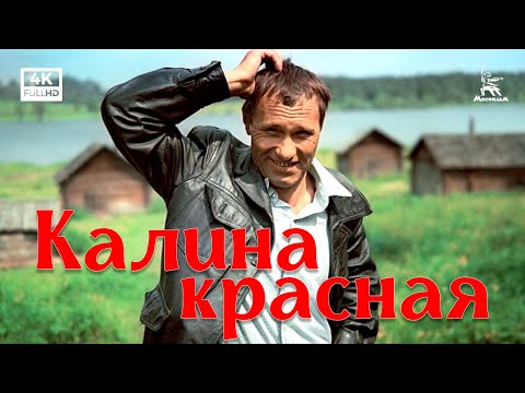 Видео: Калина красная (4К, драма, реж. Василий Шукшин, 1973 г.)