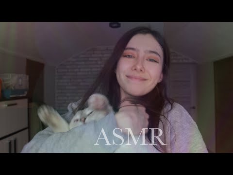 Видео: ASMR с милейшими животными ❤️🐱🐭