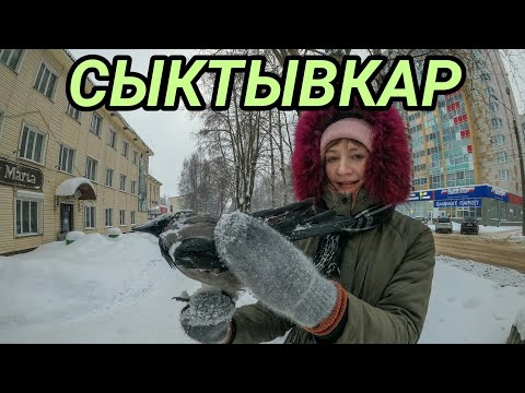 Видео: Приехали в СЫКТЫВКАР и ОБОЖРАЛИСЬ! #сыктывкар #север #коми #воркута