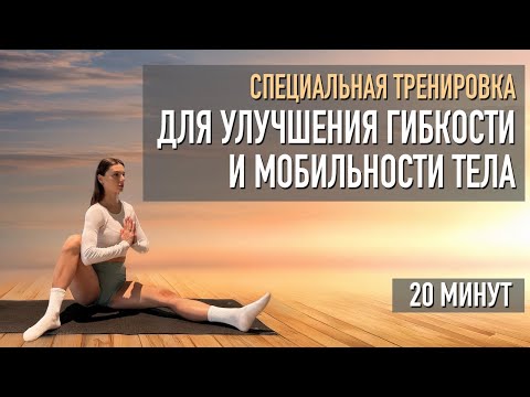Видео: 🌟 ТРЕНИРОВКА ДЛЯ ГИБКОСТИ И МОБИЛЬНОСТИ | 20 МИНУТ 🌟