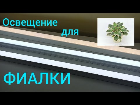 Видео: Как ПРОСТО сделать освещение для фиалок? Как выбрать лампу?