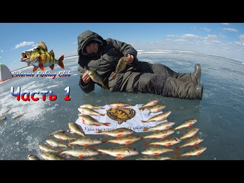 Видео: Дневной выезд на озеро Шаблиш за упитанными окунями 16 апреля 2018 года 1 часть