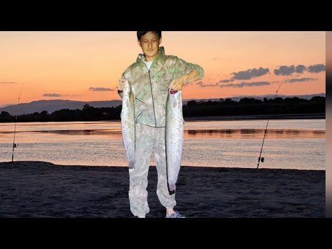 Видео: Балық аулау. Жайын балығы