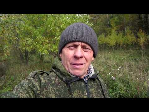 Видео: ЭТОТ МЕДВЕДЬ МЕНЯ УЖЕ ДОСТАЛ)))🔥🔥🔥