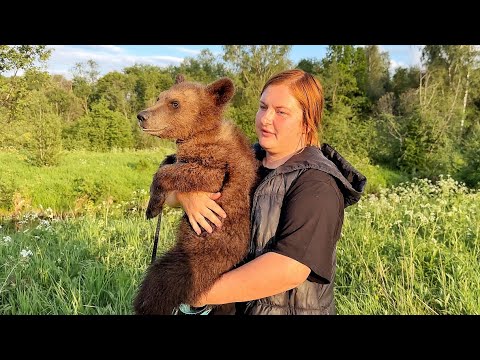 Видео: ПЕРВОЕ ЗНАКОМСТВО спасённых медвежат! Пряник В ШОКЕ залез НА РУЧКИ к маме)) -Мама, мы его не звали))