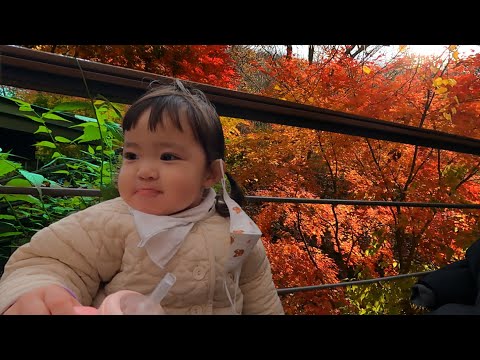 Видео: [SUB] Наслаждаемся осенними листьями с непослушным корейским ребенком! 🍂