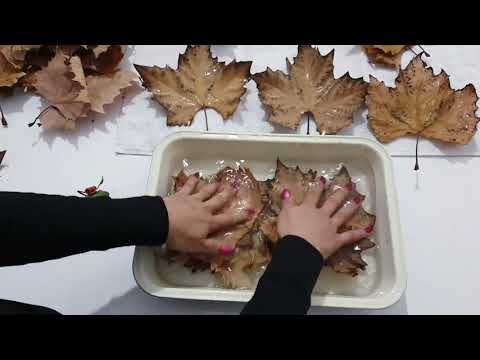 Видео: Листовой цветок / Делаем цветы из сухих листьев / Я люблю этот лист