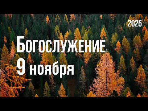 Видео: Богослужение 09.11.2025