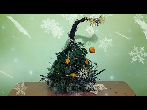 Видео: "Игры узоров" -  делаем праздничную композицию «Мандариновое дерево» (Бийское телевидение)