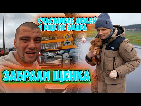 Видео: Влог, едем в Баварию забирать щенка Карликовая Такса для Витали и Ксении канал Просто Жить