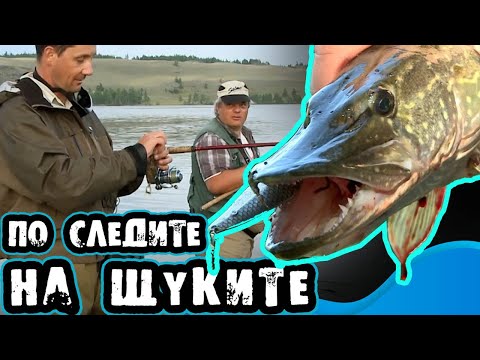 Видео: По СЛЕДИТЕ на ЩУКИТЕ / Магията на МОНГОЛИЯ