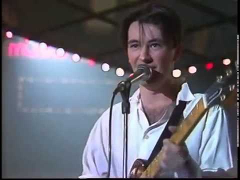 Видео: Пессимистический регги