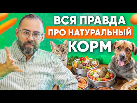Видео: Вся правда про натуралку для кошек и собак. Почему ВСЕ против?