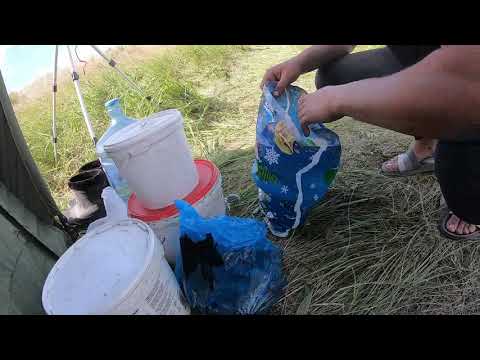 Видео: за карпом на ленинградское 29 06 02 07