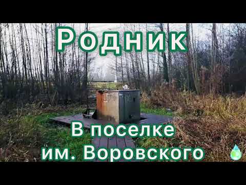 Видео: Родник чистой воды в поселке им. Воровского