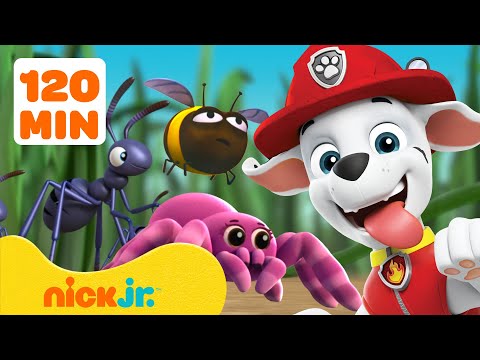 Видео: Щенячий патруль: Спасение и приключения с насекомыми! 🐝 2 часа | Nick Jr.