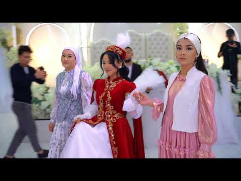 Видео: Камила ұядан ұшқан күн