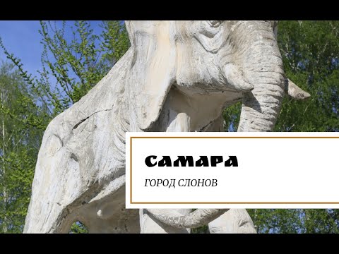 Видео: Самара. Город слонов.