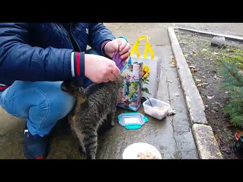 Видео: Настя Пропала, Никитос Пришел! 🔥