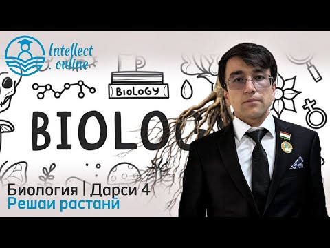 Видео: Биология | Решаи растанӣ | Дарси 4