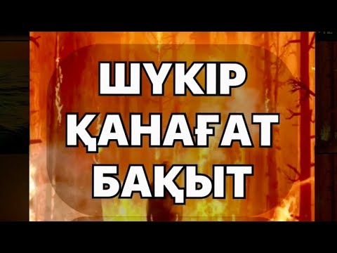 Видео: ⚜️ШҮКІР-ҚАНАҒАТ-БАҚЫТ⚜️ авторы: Қуаныш Қолхаев & оқыған: Қайсар Берікұлы (ҚАЗАҚША ПОЭЗИЯ-2021)