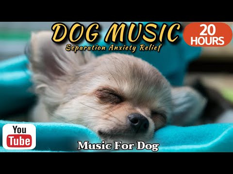 Видео: 20 часов любимой музыки собак🐶💖Музыка для сна собак 🐶🎵 Музыка для снятия беспокойства при разлуке🎵