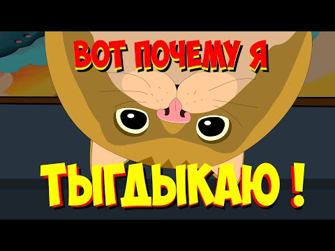 Видео: Почему кот тыгдыкает ночью ?