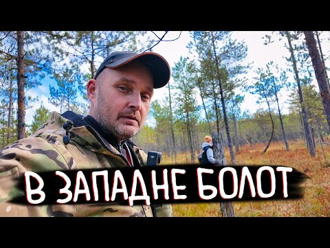 Видео: Фильм «ТОПЬ» – остросюжетная история о сборе клюквы 🍒
