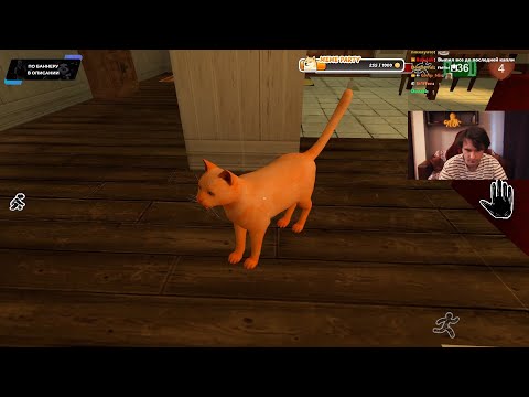 Видео: Юзя проходит "Cat Fred Evil Pet"