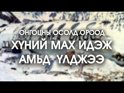 Видео: [Ослын түүхүүд #6] Хүний мах идэж амьд үлджээ