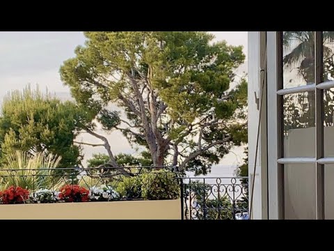 Видео: Мой прекрасный дом. РУМ ТУР. ВИКТОРИЯ БОНЯ