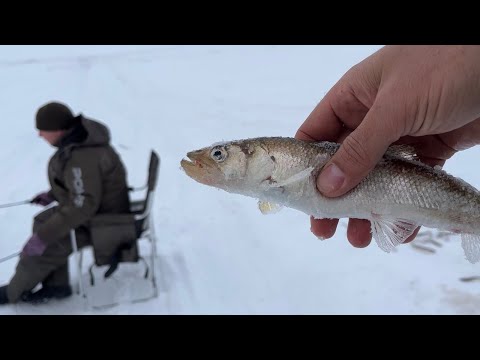 Видео: п. Лазарев 03.2023 (ч.1)