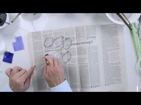 Видео: МК "Тюльпан Альба"