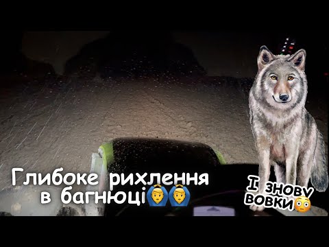 Видео: Ганяєм вовків😱😱 Глибоке рихлення після буряку в дощ і багнюку🙆‍♂️