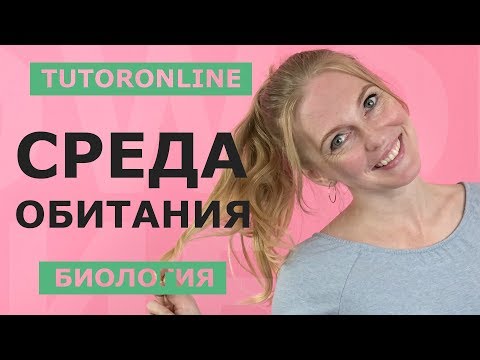 Видео: Биология | Среда обитания