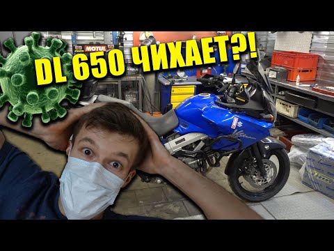 Видео: DL650 чихает? Простыл!
