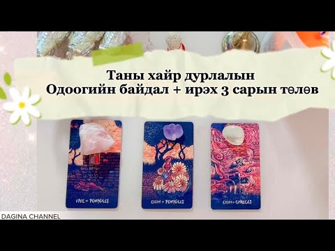 Видео: Love reading - Ирж буй 3 сард таны хайр сэтгэлийн амьдрал ямар байх вэ?