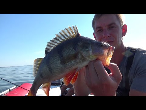 Видео: Трое в лодке, рыбалка на спиннинг на волге. Джиг vs блэйдбет))))