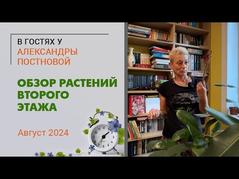 Видео: В гостях у Александры Постновой. Обзор растений второго этажа. Август 2024. Папоротники, фикусы и...