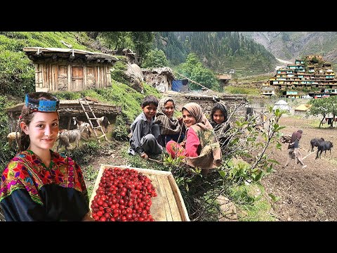 Видео: Невидимая пакистанская деревенская жизнь на вершине самой холодной горы | Древняя культура