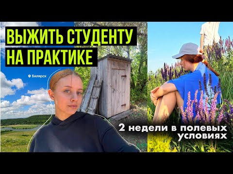 Видео: ✨АРХЕОЛОГИЧЕСКАЯ ПРАКТИКА✨ от ненависти до любви / 1 курс 📚