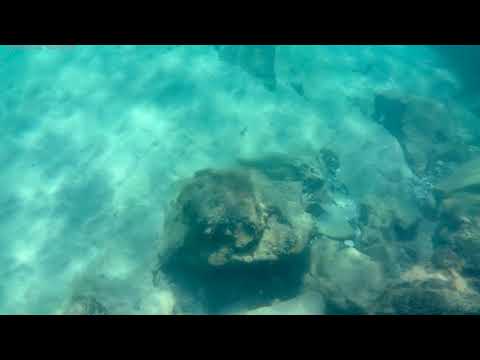 Видео: На море в Приморско - еп. 2 🏖🏝 | ПОДВОДНО ВИДЕО